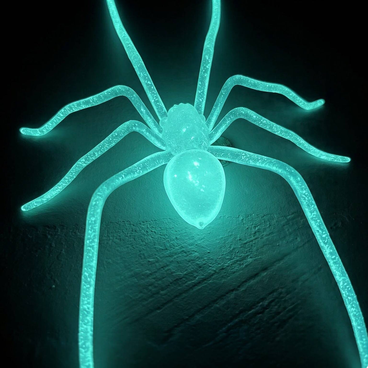2026 Glow-in-the-Dark Spider Fridge Magnet