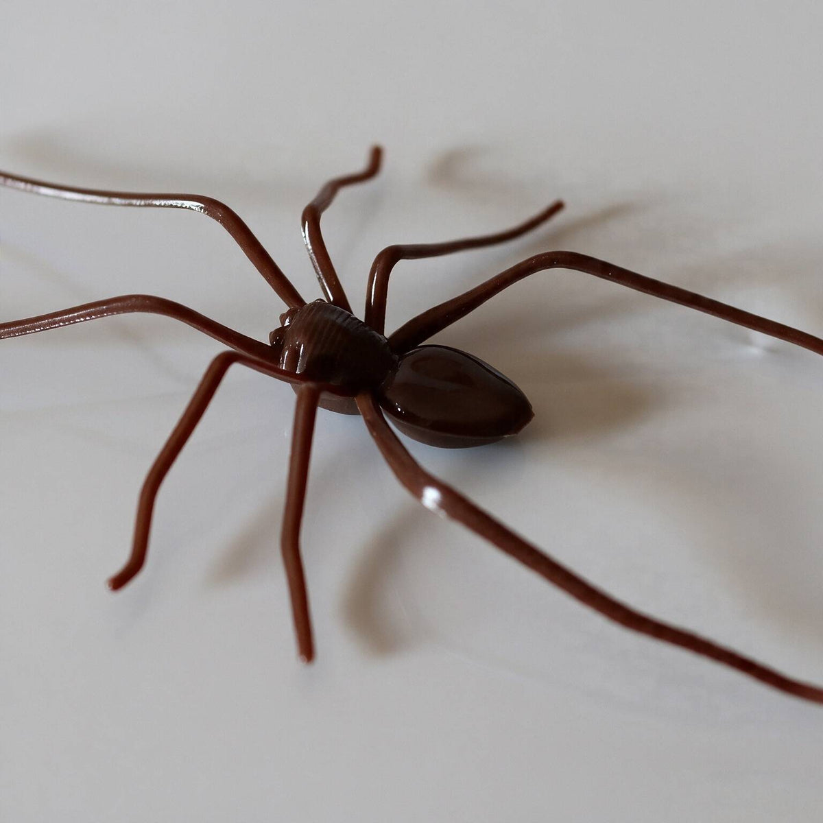 2026 Glow-in-the-Dark Spider Fridge Magnet