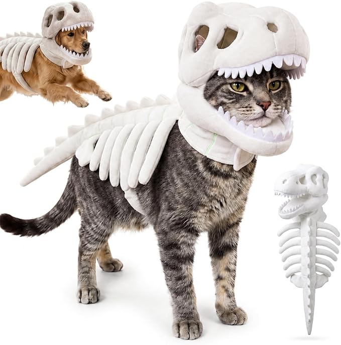 Glow-in-the-Dark 3D Skeleton Dinosaur Pet Costume