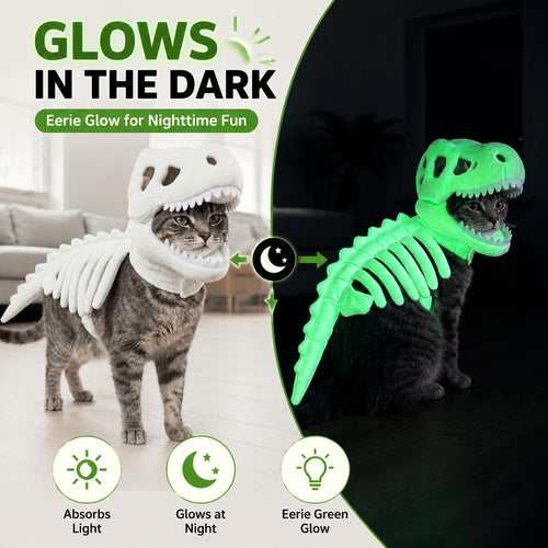 Glow-in-the-Dark 3D Skeleton Dinosaur Pet Costume