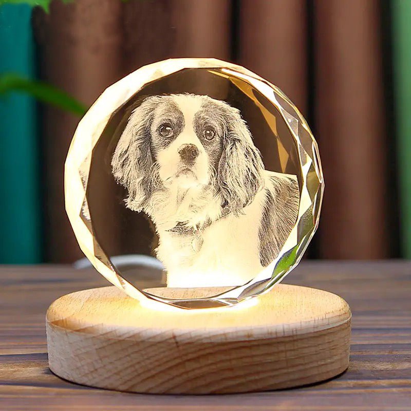 Personalized 3D Pet Memorial Crystal