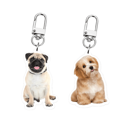 Personalized Pet Portrait Acrylic Keychain